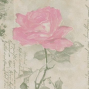 randompikachu123 avatar