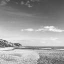 randomquestiond avatar