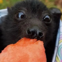 randomsexexpressions2 avatar