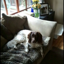 randomthoughts-123 avatar