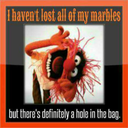 randomthoughts73 avatar