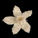 randomweird00 avatar