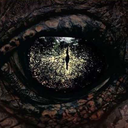 randowstuffforme avatar