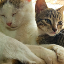 ranexpositioning avatar