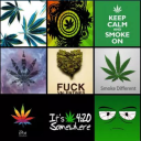 rap420 avatar