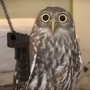 raptr-rambles avatar