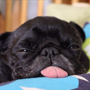 rare-breed-of-human avatar