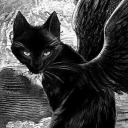 rareblackcat avatar