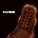 rarebluechairdog avatar