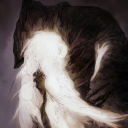 rarestkindofman avatar