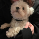 rasierklingexo avatar