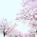 raspberriesandmint avatar