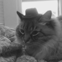 raspberriesandstrawberries avatar