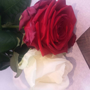 raspberry-mint avatar