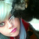 raspberry-rabbit avatar