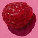 raspberry-roll avatar