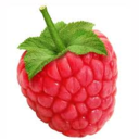 raspberrybb avatar