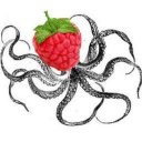 raspberrykraken avatar