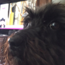 raspberrylemondew avatar