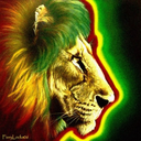 rastaman85 avatar