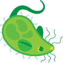 rat-bacteria avatar