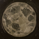 rat-boy-thoghts avatar