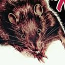 rat-meat avatar