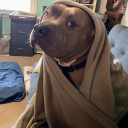 rat-tail-butch avatar