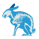 ratarchiveart avatar