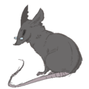 ratatastic avatar