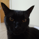 ratbastard69420 avatar