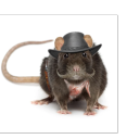 ratblaster-ck avatar