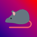 ratdotjpeg avatar