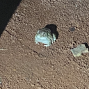 rateatcheese999 avatar