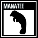 ratedmformanatee avatar