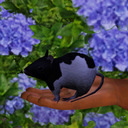 ratfantasy-sims avatar