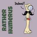 ratherhumeruscomics avatar