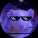 ratkingsewers avatar