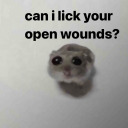 ratkingshoard avatar