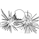 ratmansbrainrot avatar