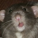 ratmouths avatar