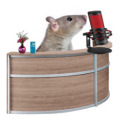 ratnewsofficial avatar