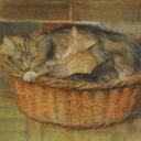 raton-laveurr avatar