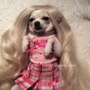 ratrights2021 avatar