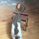 ratroad avatar