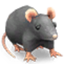 ratsimsie avatar