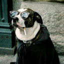 ratslime-blog-blog avatar