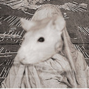 ratspunk avatar