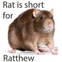 ratsunitedincorp avatar