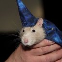 ratthewshomebrew avatar